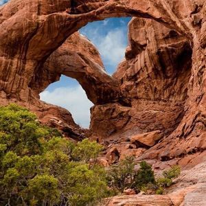 Meet your Posher, Janice